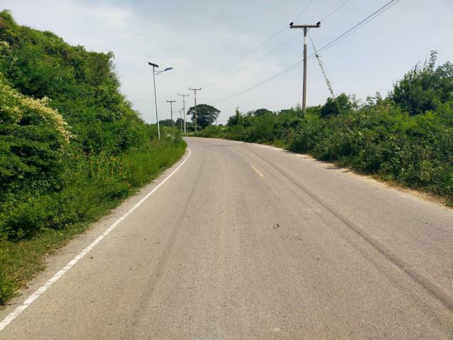 ขายที่ดิน+บ้านสวน 11ไร่เศษ ไร่ละ450000-หน้าติดถนนลาดยาง หลังติดคลองส่งน้ำชลประทาน อ.สองพี่น้อง จ.สุพรรฯ ที่สูงน้ำไม่ท่วมใก้ลความเจริญ