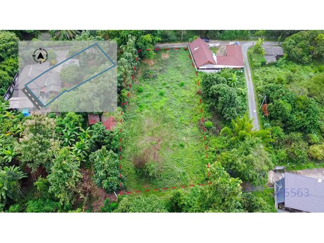 C869 ขายที่ดิน ดอยสะเก็ด ที่สวน 317 ตร.ว ต.เชิงดอย เชียงใหม่| Land 317 sq.wah in Doi Saket for Sale