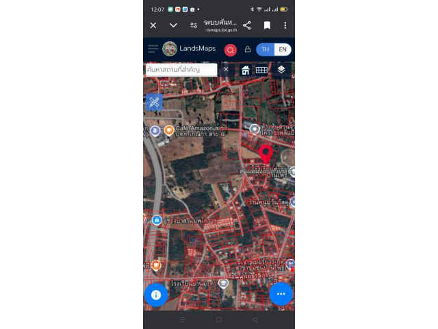 ขายที่ดินเหมาะทำบ้านสวน ทำเลดีน้ำไม่ท่วม ซื้อเป็นมรดก ซื้อเก็งกำไร หลังโรงเรียนบ้านโพธิ์ ต.บ้านโพธิ์ 159ตรว.