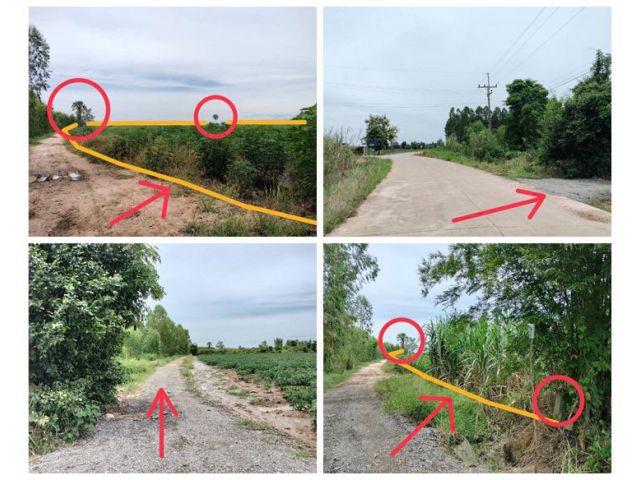 ขายที่ดิน ซอย บ้านหนองไทร ต.บ้านไร่ อ.ลาดยาว จ.นครสวรรค์ 34 ไร่ โฉนดครุฑแดง เจ้าของขายเอง โทร 065-3423946