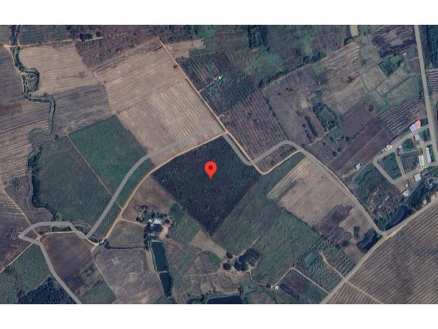 ที่ดินป่าอ้อย จ.เลย ทำเลดี ราคาน่าลงทุน