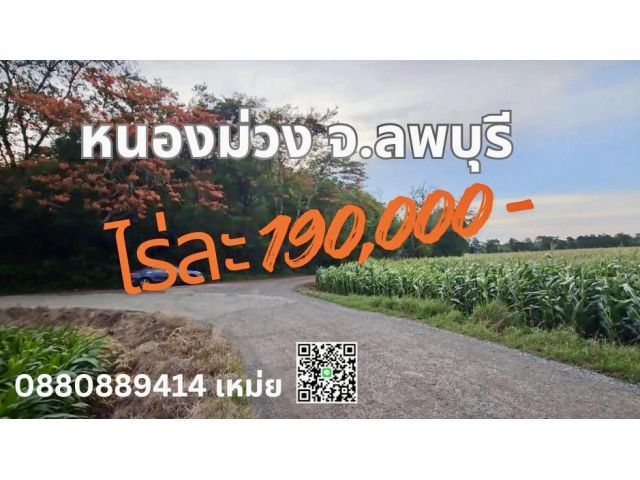 ที่ดิน หนองม่วง ลพบุรี ไร่ละ 1.9 แสน