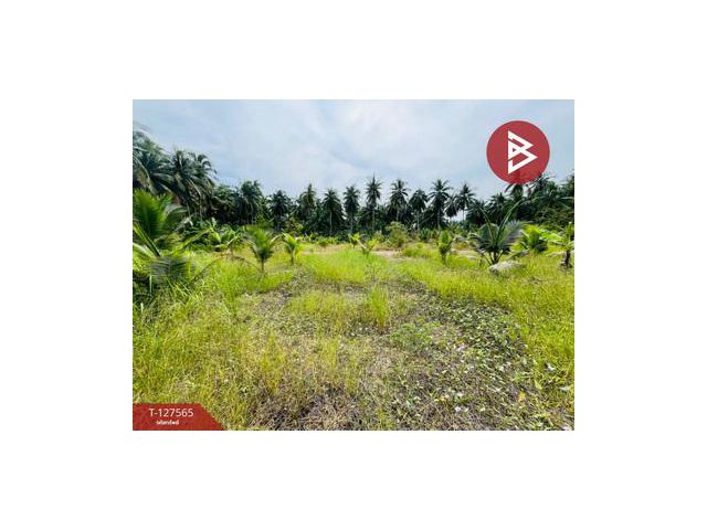 ขายที่ดิน เนื้อที่ 1 งาน อัมพวา สมุทรสงคราม