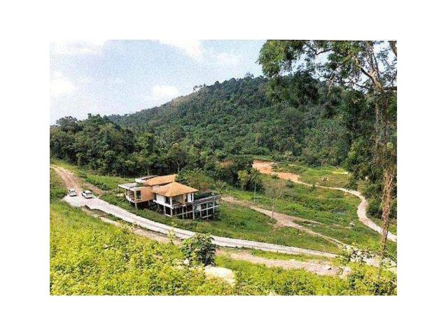 ขายที่ดิน 32 ไร่ เกาะสมุย ต.ตลิ่งงาม อ.เกาะสมุย จ.สุราษฎร์ธานี