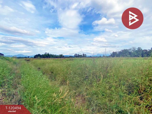 ขายที่ดิน เนื้อที่ 18 ไร่ 2 งาน 95.6 ตารางวา ท่าช้าง นครนายก ทำเลดีติดถนน