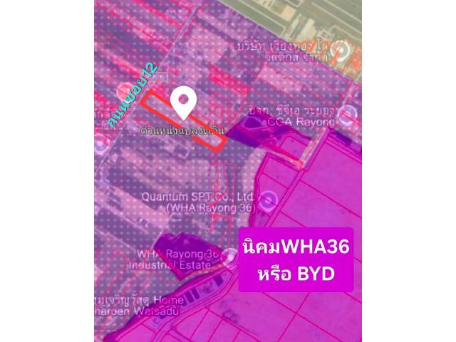 ขายที่ดินติดถนนลาดยางซอย12 อ.นิคมพัฒนา จ.ระยอง สีม่วงลาย เนื้อที่ 24 ไร่ 1 งาน 56 ตรว.