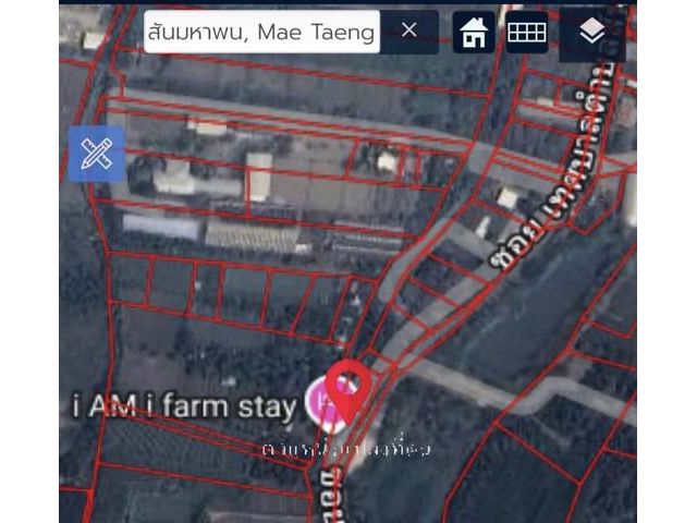 ขายที่ดิน แม่แตง เชียงใหม่