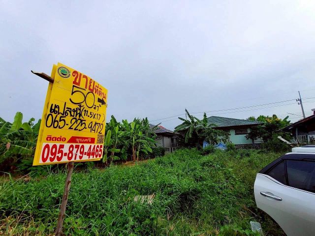 Vายที่ดินคลองสอง 50 ตารางวาติดถนนคอนกรีตสาธารณะ ถมแล้วซอย บงกช 43 อ.คลองหลวง จ.ปทุมธานี095-879-4465