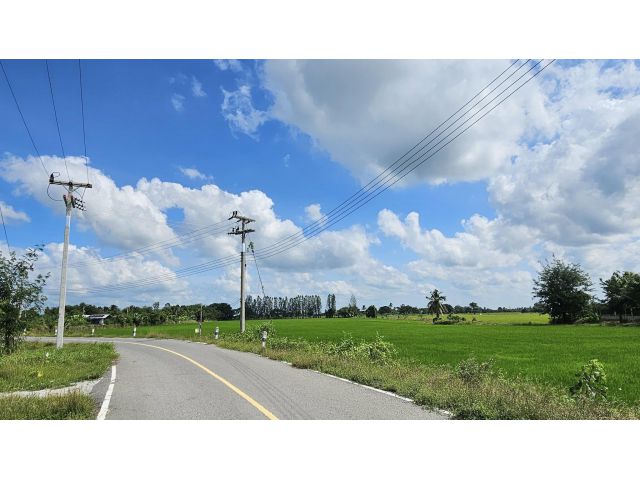 ขายที่ดินติดถนนลาดยาง19ไร่1งาน67ตรว. ขายไร่ละ 300,000บาท ค่าโอนเจ้าของออกให้