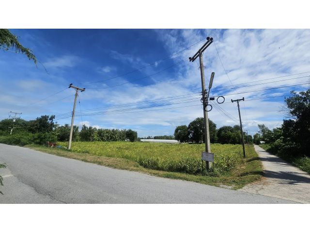 (ขายด่วน)ขายที่ดินติดถนน2ด้าน 2ไร่26ตารางวา ลดราคา