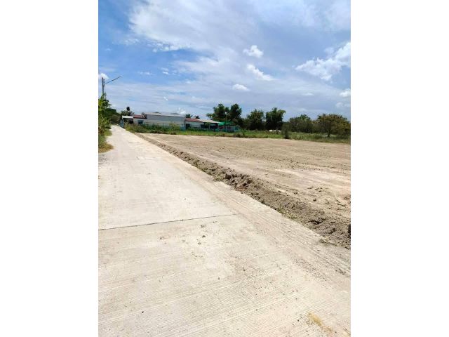 ขายที่ดินหนองหงษ์ 265 ตรว. ถมแล้วติดถนนคอนกรีต ใกล้ถนนเส้นชบ.3023-900เมตร อ.พานทอง ชลบุรี