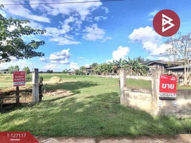 ขายที่ดิน เนื้อที่ 3 งาน 80 ตารางวา บ้านโนนเหลี่ยม อ.พยัคฆภูมิพิสัย มหาสารคาม