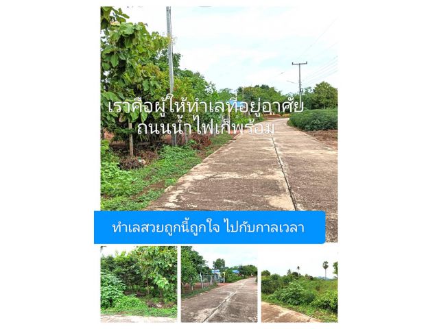 ตรงนี้คือผืนดินถิ่นที่อาศัย แล้วจะรู้จะรักเป็นที่พักพิง ให้จิงจึงจบ อยากให้พบแต่แปลงที่ชอบ คือคำตอบอันประเสริฐ