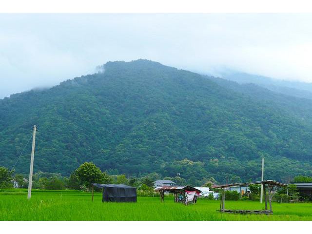 ขายที่ดินทำเลทอง วิวภูเขาฟูจิปัว 2 งาน 95 ตารางวา