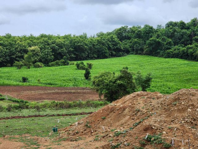 ที่ดินมีสายแร่มีค่า