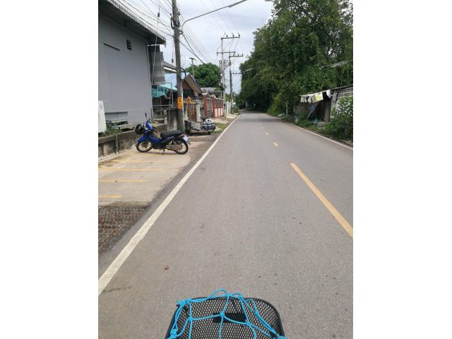 ร้อนตังจะกลับนอก