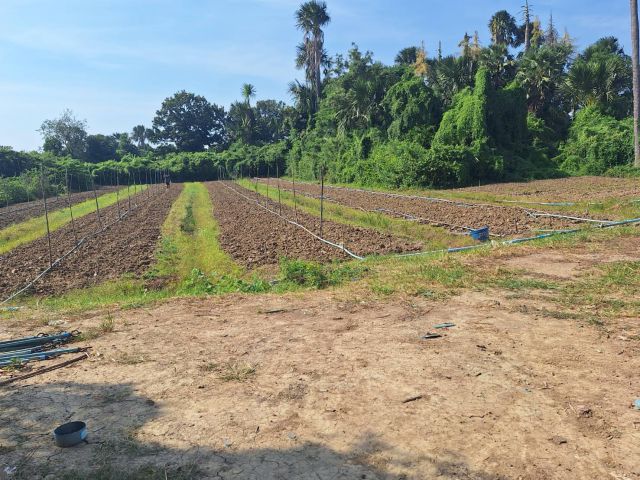 ที่ดินเปล่า 1-1-9.3 ไร่ ต.ดอนรวก อ.ดอนตูม จ.นครปฐม