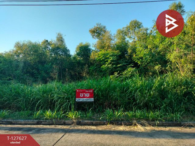 ขายที่ดิน เนื้อที่ 1 ไร่ 21 ตร.วา วังน้อย พระนครศรีอยุธยา