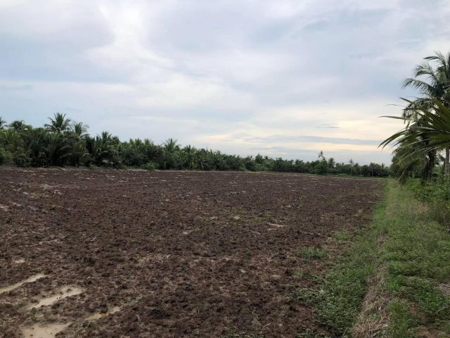 L1076 ขายที่ดินใกล้แม่น้ำบางปะกง 17 ไร่ เมืองฉะเชิงเทรา