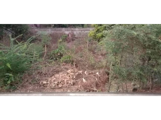 L1077 ขายที่ดินใกล้มหาวิทยาลัยราชภัฏหมู่บ้านจอมบึง 247 ตรว ราชบุรี