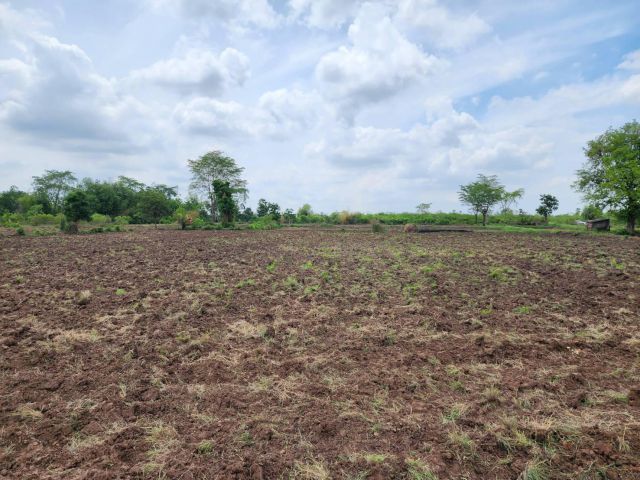 L483 ขายที่ใกล้ตัวอำเภอโนนไทย 12 ไร่ นครราชสีมา