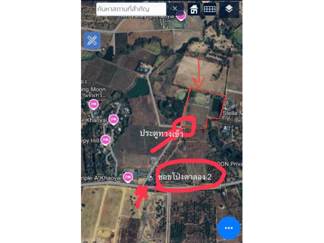 ขายสวนทุเรียนผสม