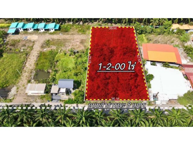 บึงบอล31ค8หนองเสือปทุมธานี1ไร่2งานถมเเล้ว300ตรว3.4ลบ.ถนนลาดยางไฟฟ้า3เฟสน้ำหน้าแปลงโลตัสค.7 6กมตลาดวิลล่า5กม.ฟรีโอน