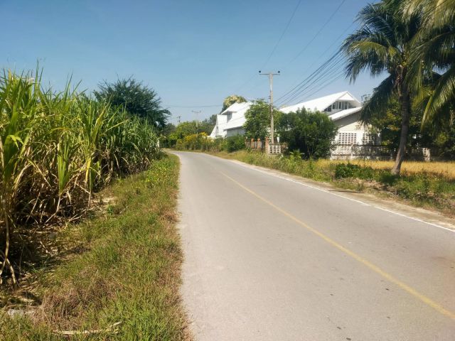 ขายที่ดิน3ไร่116ตรว.ไร่ละ850000-ติดถนนลาดยาง ต.บ่อสุพรรณ อ.สองพี่น้อง จ.สุพรรฯเหมาะทำบ้านพัก/ห้องเช่า.ใก้ลวัดทับกระดาน