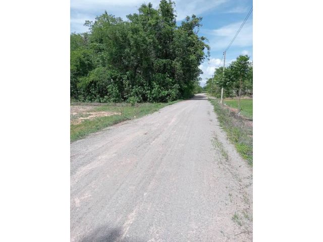 ขายที่ดิน 5 ไร่ไร่ละ 300,000 โฉนดครุฑแดง หน้ากว้างมาก บรรยากาศดีเหมาะสำหรับปลูกบ้านยามเกษียณ น้ำไฟพร้อมม