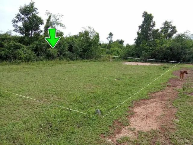 vายด่วนที่ดินแปลงเล็ก,ราคาเบาๆ โฉนด 200ตร.วาหรือ2 งาน ,,ลดเหลือ1.6แสน ถ้วน,,โฉนดครุฑแดงเลขที่ 8757 ต.กลอนโด อ.ด่านมะขาม