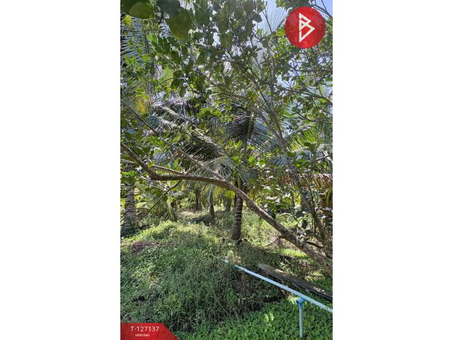 ขายที่ดิน เนื้อที่ 2 ไร่ 1 งาน 74.2 ตารางวา อ.อัมพวา สมุทรสงคราม