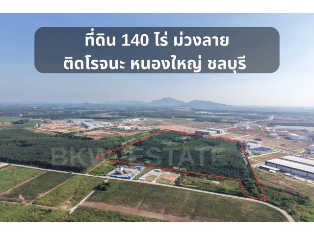 ขายที่ดินม่วงลาย 140 ไร่