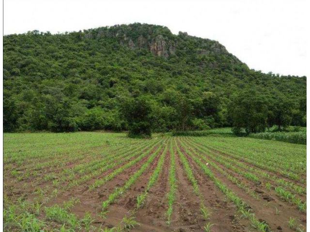 ขายที่ดิน 6 ไร่เศษ