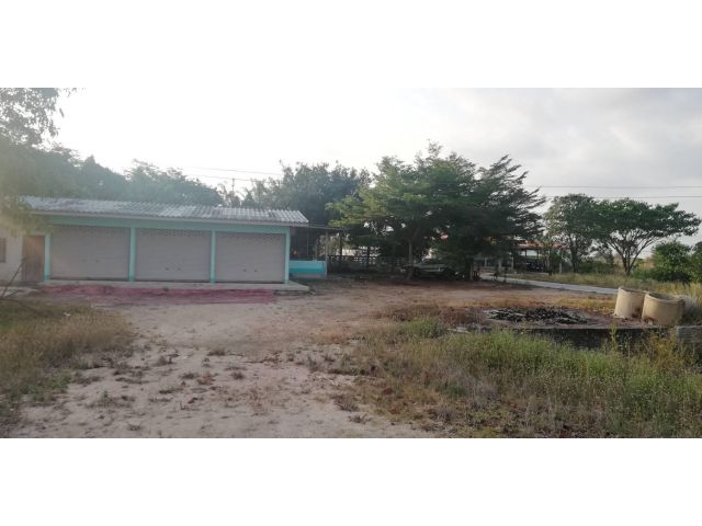 ให้เช่า บ้านหลังใหญ่ 1ไร่2งาน อยู่อาศัย ค้าขาย ติดถนนใหญ่ นิคมพัฒนา ซอย13 มีไฟฟ้า มีน้ำ ใกล้มาก อมตะซิตี้ ระยอง WHA 36