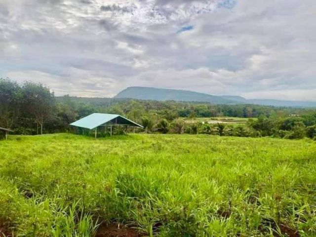 รวมที่สวย อ.ภูเรือ บรรยากาศดี ราคาดี ที่คุณไม่ควรพลาด!!