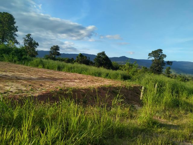 ที่สวย1 ไร่ ภูเรือวิวเด่น ใกล้ทางหลวงเข้าออกสะดวก ไม่ไกลตลาดสด โฉนด 1000000