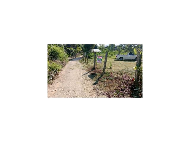 โอกาสทอง! ที่ดินเกือบ 2งาน 270,000บาท ทำเลดี อ.เมืองลำพูน ราคาสุดคุ้ม!