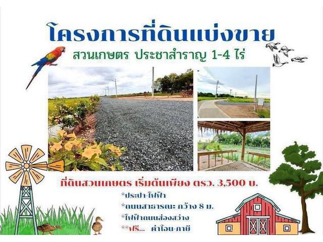 ขายที่ดิน ทำสวนเกษตร แบ่งขาย 1-4 ไร่ ประชาสำราญ