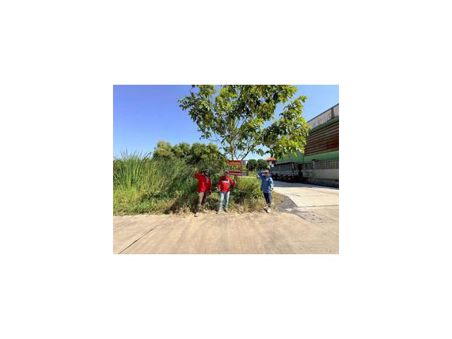 Vายด่วน ที่ดินใกล้มอเตอร์เวย์ 80 ตารางวา แปลงมุม ติดถนนคอนกรีตสาธารณะ ซอยคลองสี่ 6 อ.คลองหลวง จ.ปทุมธานี