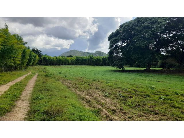 ขายที่ นส.3 ก. เนื้อที่ 136 – 1 – 1 ไร่ (มีงอกอีกประมาณ 10 ไร่) ลาดหญ้า ติดลำตะเพลิน