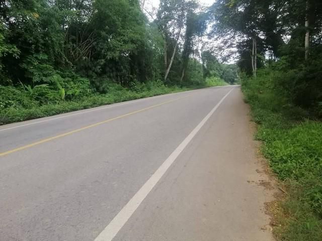 ขายสวนปาล์ม + สวนยาง ราคาถูก ทำเลดีใกล้ว่าการอำเภอพนม สุราษฎร์ธาน