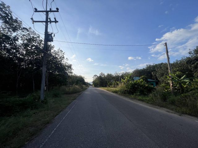 ขายที่ดินโฉนดพร้อมสวนยางเนื้อที่9ไร่3งาน61ตารางวา หน้ากว้างติดถนนลาดยาง 55 เมตร ไฟฟ้า3เฟส น้ำประปาพร้อม