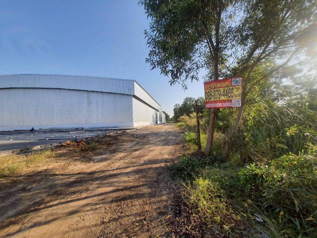 ขายด่วนที่ดินคลองหนึ่ง 1 ไร่ ติดถนนสาธารณะ ทำเลดี ซ.เทพกุญชร 44 อ.คลองหลวง จ.ปทุมธานี