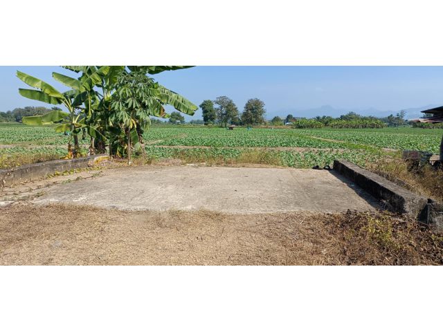 L522-ขายที่ดินเปล่า 10-0-55.9 ไร่ (ต.บ้านเหล่า อ.สูงเม่น จ.แพร่)