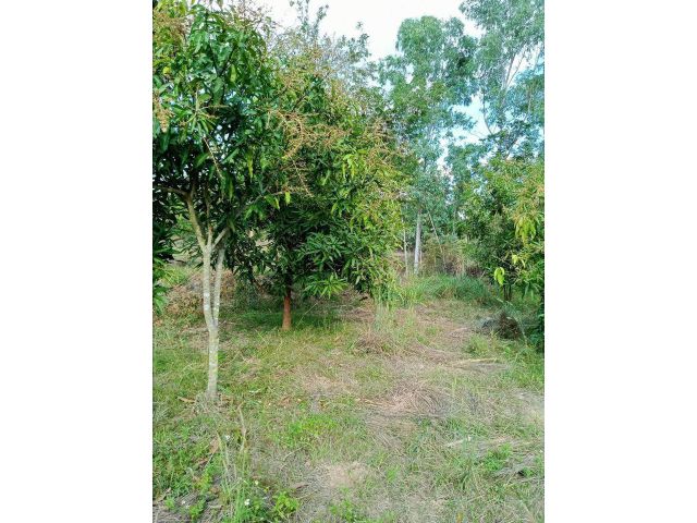 ขายที่ดินที่โลง1งานบ้านน้ำโจ้ตำบลน้ำโจ้อำเภอแม่ทะจัหวัดลำปางห่างจากตัวเมืองลำปางไป15ิโลมีไฟฟ้ามีน้ำประปาติดถนนลูกรังในชุ