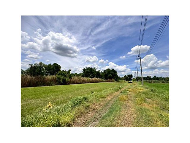 ขายที่ดินเปล่าหนองจอก ถ.ประชาสำราญ (ซอยร่วมพัฒนา) **เพียง 4,500/ตารางวา** (N.1717)