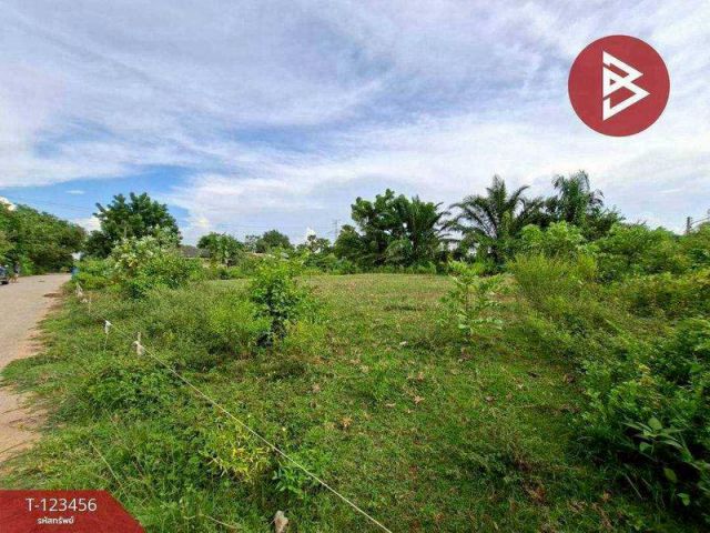 6-2-93ตรว ขายที่ดินพนัสนิคม ชลบุรี