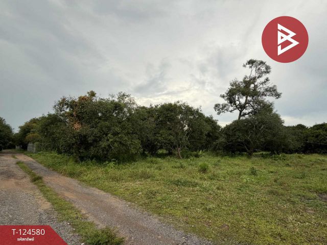 ขายที่ดินสวย เนื้อที่ 1 งาน 53.7 ตารางวา ใกล้ตลาดตะพงถมแล้ว ตะพง ระยอง