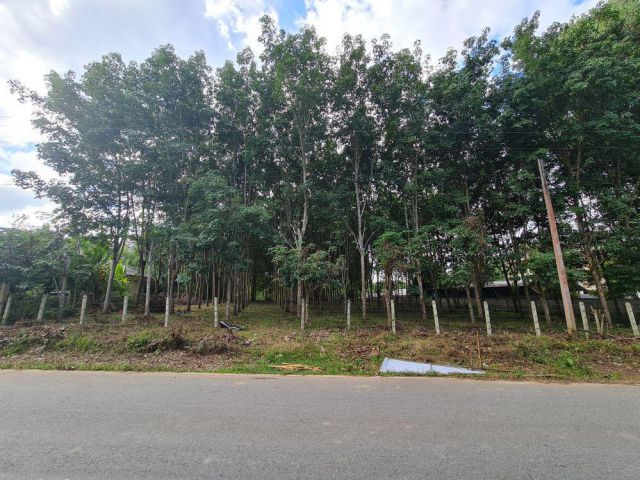 ขายที่ดินสวนยาง 2.40 ไร่ พร้อมโฉนด เหมาะแก่การลงทุน หลังวิทยาลัยการอาชีพปัว ต.ปัว จ.น่าน