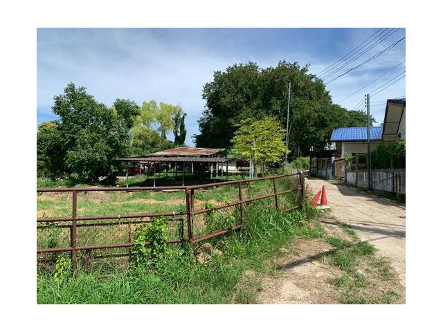 ขายที่ดินเปล่า พญาเย็น ปากช่อง นครราชสีมา จำนวน 14 ไร่ หน้ากว้าง 146 ยาว 241 เมตร ใกล้รีสอร์ท คาเฟ่ และแหล่งท่องเที่ยวมา